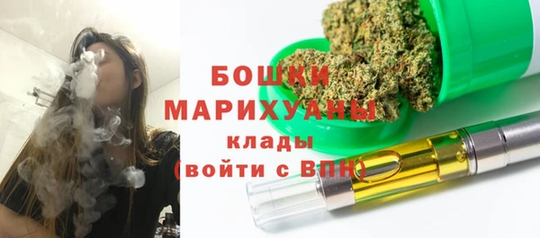 прущие грибы Абинск