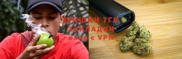 прущие грибы Абинск