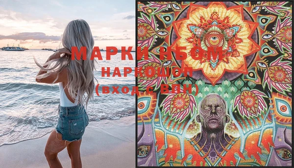прущие грибы Абинск
