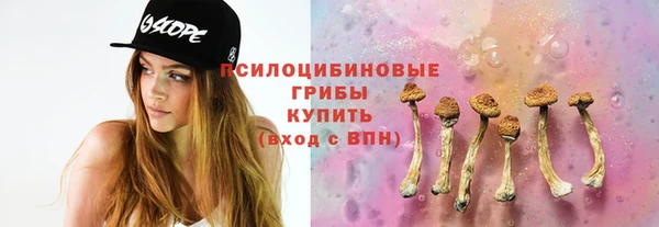 прущие грибы Абинск