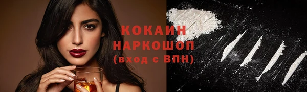 прущие грибы Абинск