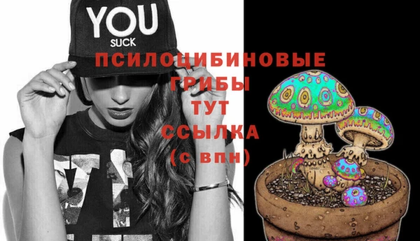MDMA Нязепетровск