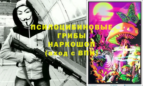 мдпв Абдулино