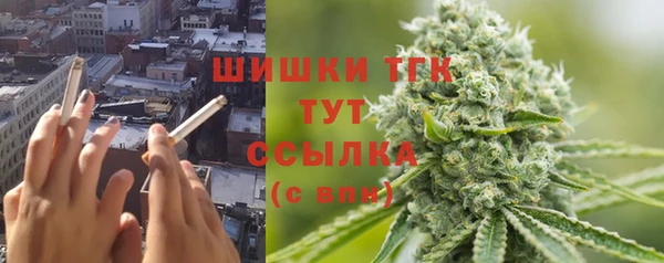 прущие грибы Абинск