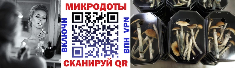 Галлюциногенные грибы Cubensis Галич